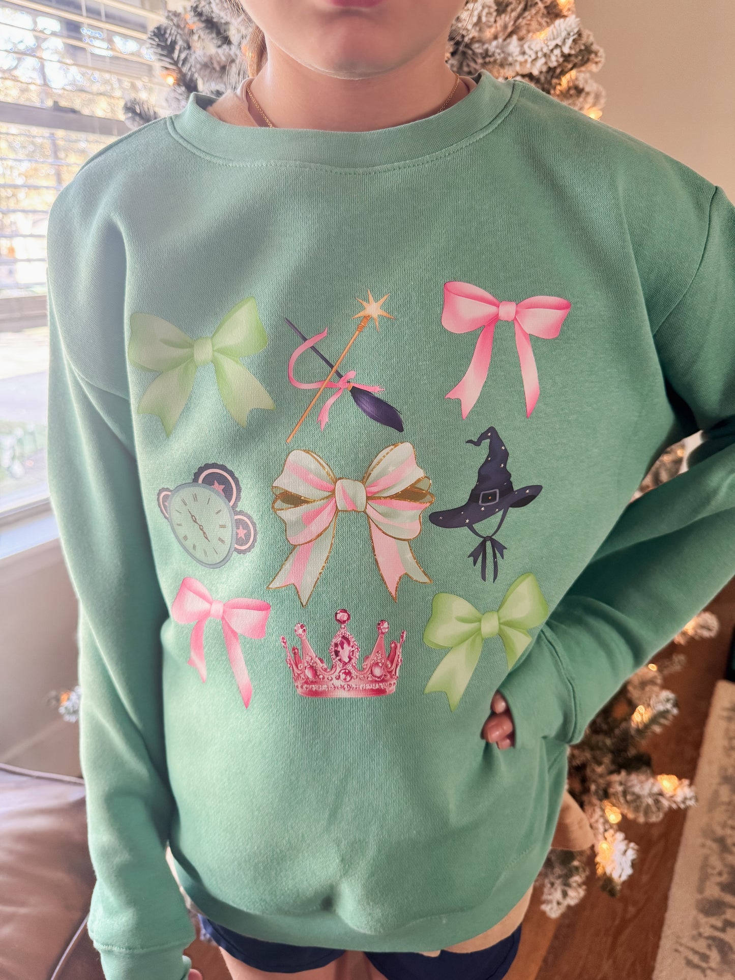 Pink and Green Wicked inspired sweatshirt